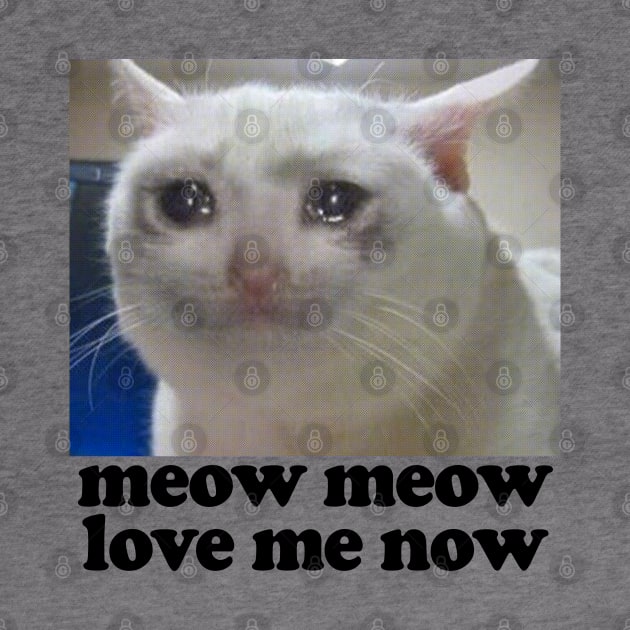 Meow Meow, Love Me Now by DankFutura